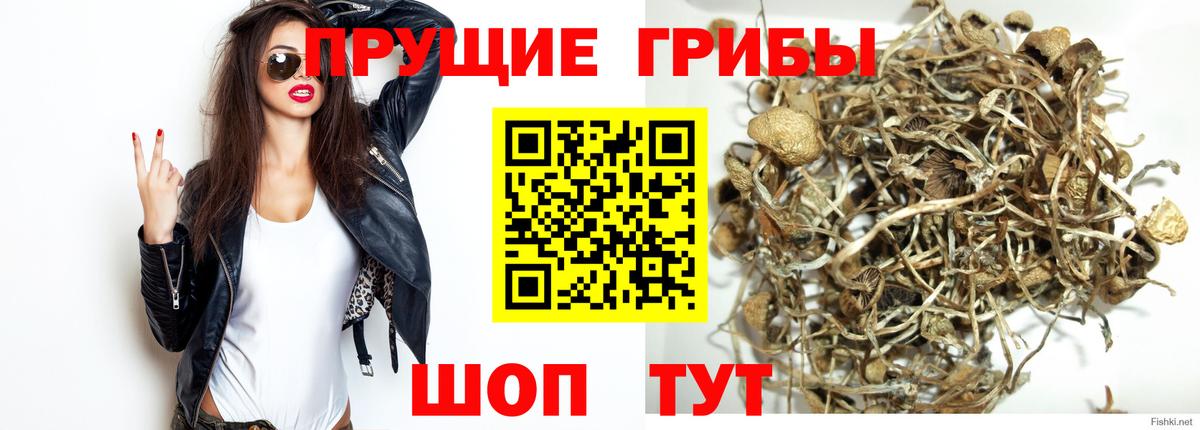 Псилоцибиновые грибы GOLDEN TEACHER  Вход с VPN  Назарово 